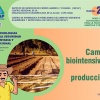 Camas bio-intensivas de producción